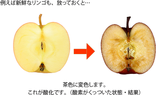 例えば新鮮なリンゴも、放っておくと…茶色に変色します。これが酸化です。