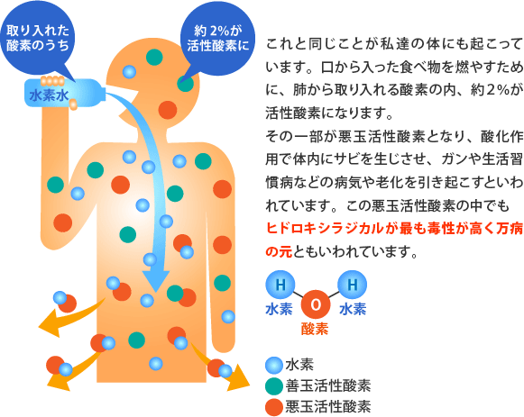悪玉活性酸素の中でもヒドロキシラジカルが最も毒性が高く万病の元ともいわれています。