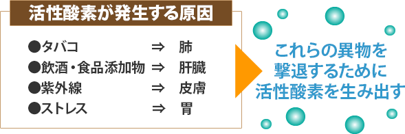 タバコや飲酒・食品添加物などによりストレス活性酸素が発生する原因